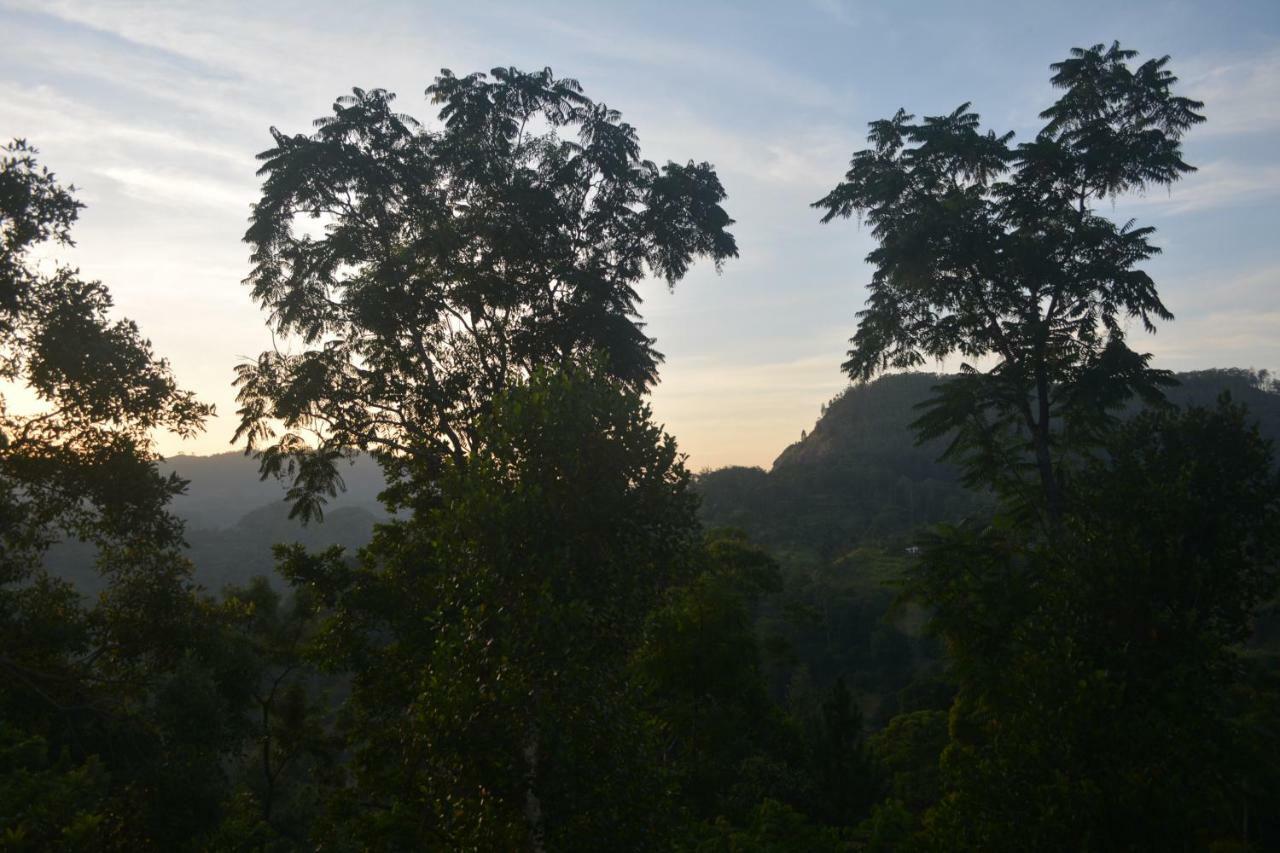 Racy Nature Cottage Ella Εξωτερικό φωτογραφία