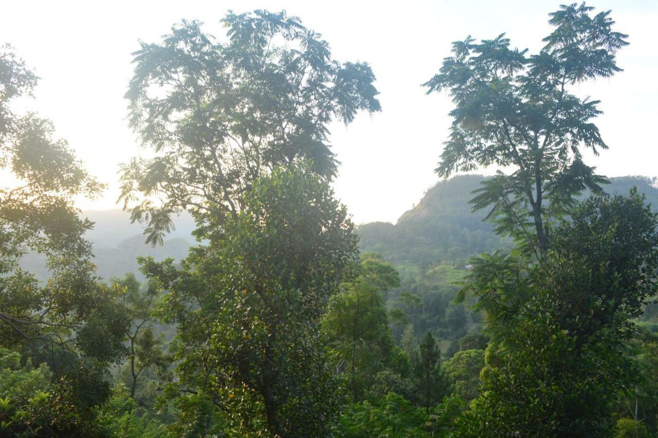 Racy Nature Cottage Ella Εξωτερικό φωτογραφία