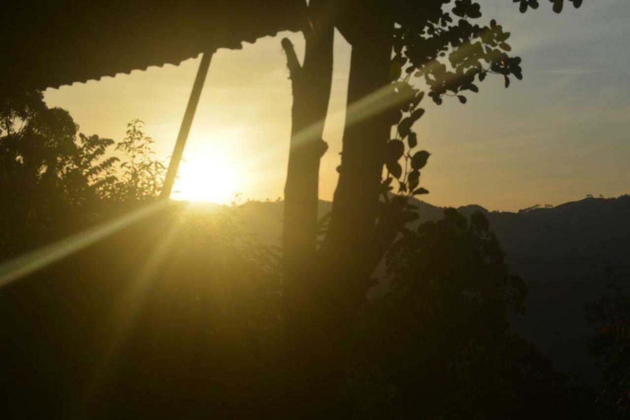 Racy Nature Cottage Ella Εξωτερικό φωτογραφία